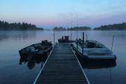 125. Misty mornings (Chris Koehler)