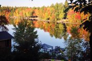 37. Fall Colours (Marilynne Cumming)