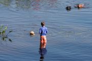 1. Water Buddies (Jennifer Robertson)