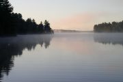 46. Good Morning 2 (Kathy Evelyn)