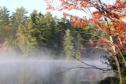 61. misty fall (Kathy Evelyn)