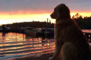 60. Watching the sunset (Karen Stacey)