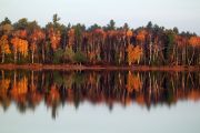 116. November Reflections (Adam Schiefer)