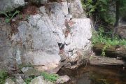 sP1010819_n.jpg