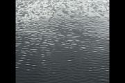 51. Ripples (Nelly Loreti)