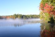 60. Changing colours (Kathy Evelyn)