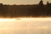 11. Morning Mist (Laurie Piskun)