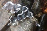 41. Winter Thaw (Diane Hering)