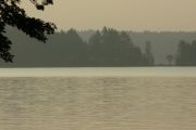Natural_SepiaN.jpg