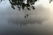 43. Mist on a mirror lake (Andy Tamas)